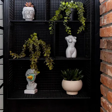 Ogrod Botaniczny Industrial *